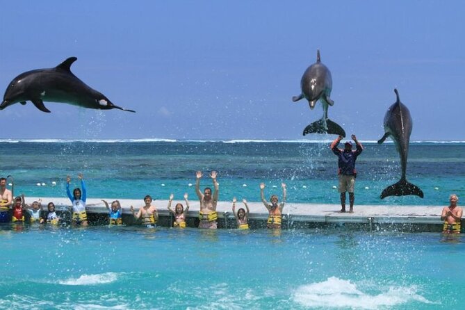 3 Hrs Glass Boat Tour in Punta Cana - Positive Feedback