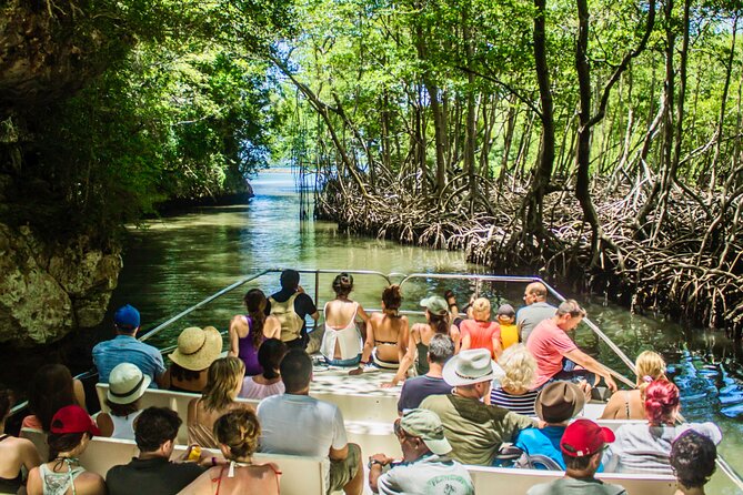 3-in-1: Los Haitises National Park + Yanigua Waterfall + Montaña Redonda - Discovering the Yanigua Waterfall