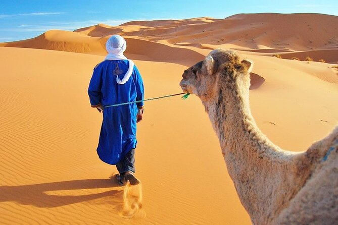 4 Day Desert Tour From Marrakech to Fez - Included Amenities