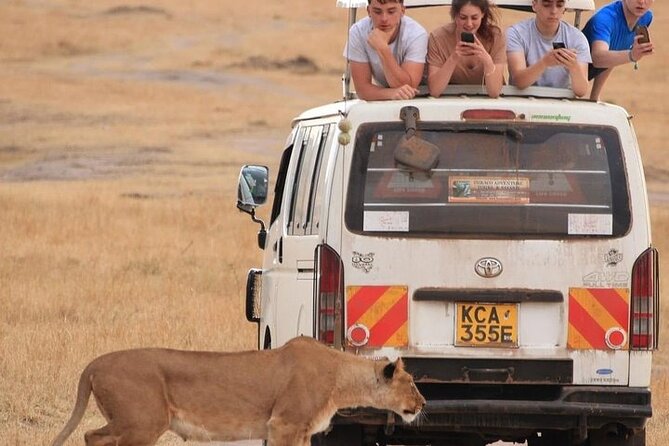 4 Days Masai Mara Lake Nakuru Jeep Safari - Itinerary Highlights