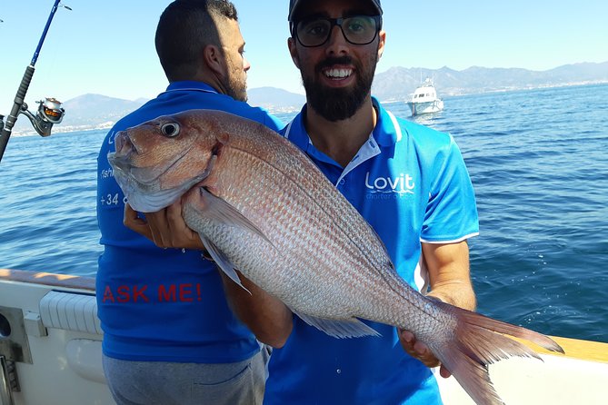 4 Hours Bottom Fishing Day by Boat From Marbella - Meeting Point Details