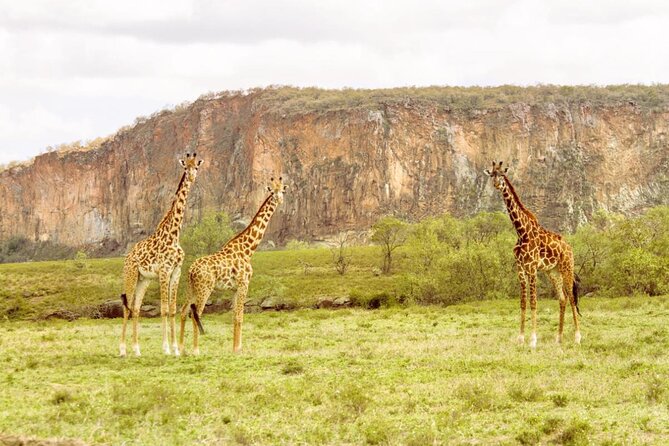 5 Days Masai Mara, Lake Nakuru & Naivasha Budget Joining Safari - Meeting and Pickup Details