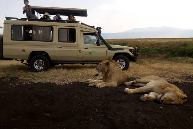 5 Days Serengeti Discovery - Itinerary Highlights