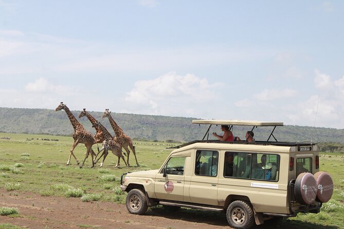 6 Days Serengeti Safari(Hiking Waterfalls &Coffee Tour) - Meals During Safari