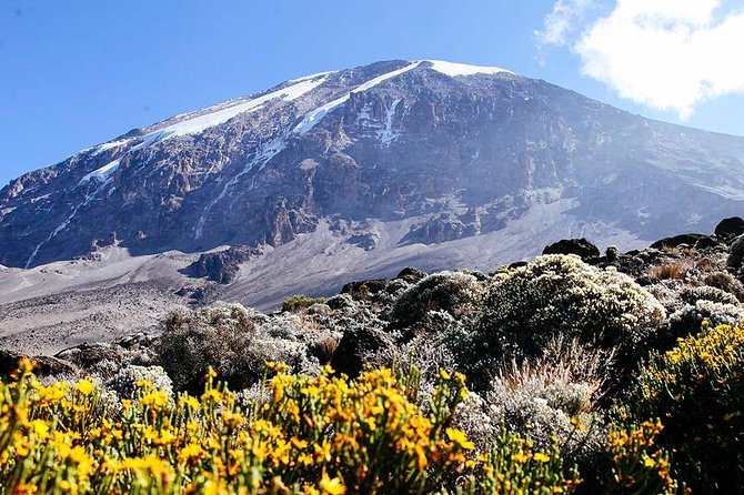 7 Days Machame Route Trek Mount Kilimanjaro - Trek Description