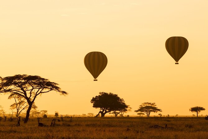 8 Days Green Season Offer - Luxury Serena Safari - Cancellation Policy