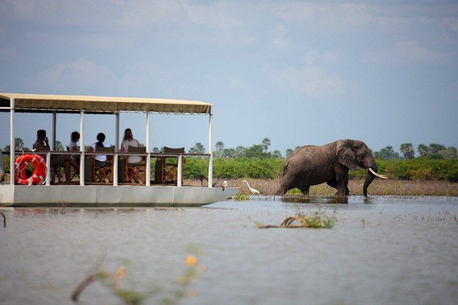 A Day Trip To Selous Fly From Zanzibar - Destination Highlights