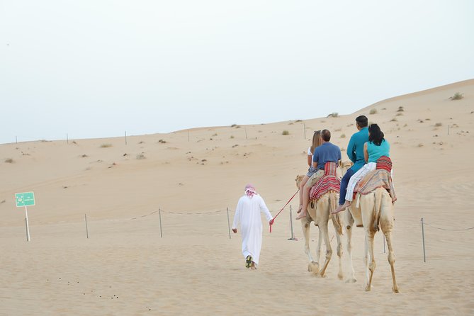 Abu Dhabi Morning Desert Safari - Duration and Accessibility