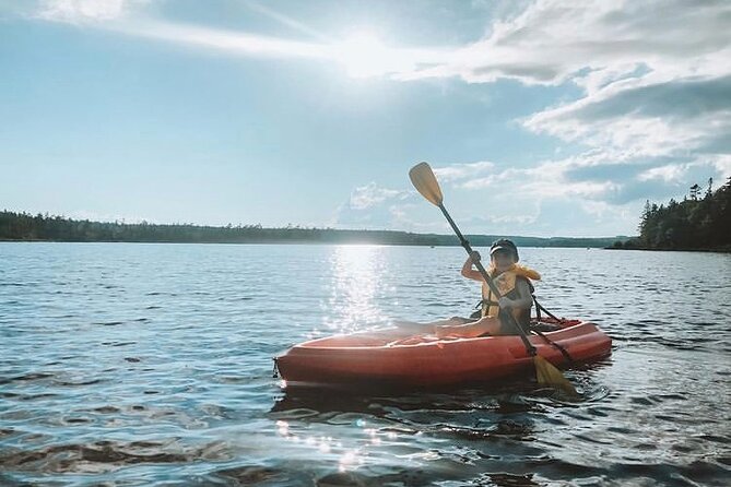 Adult Single Kayak Rental - Tour Availability and Details