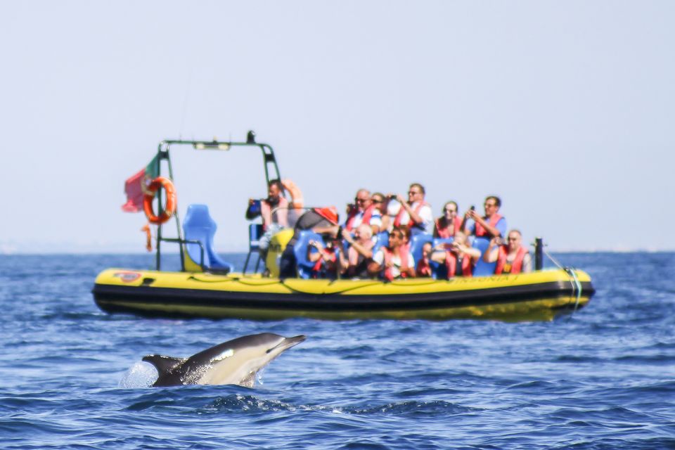 Albufeira: Benagil Caves & Dolphin Watching Speed Boat Tour - Inclusions