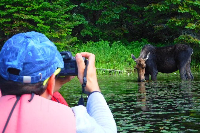 Algonquin Park Luxury 3-Day Camping & Canoeing: Moose/Beaver/Turtle Adventure - Inclusions in the Package