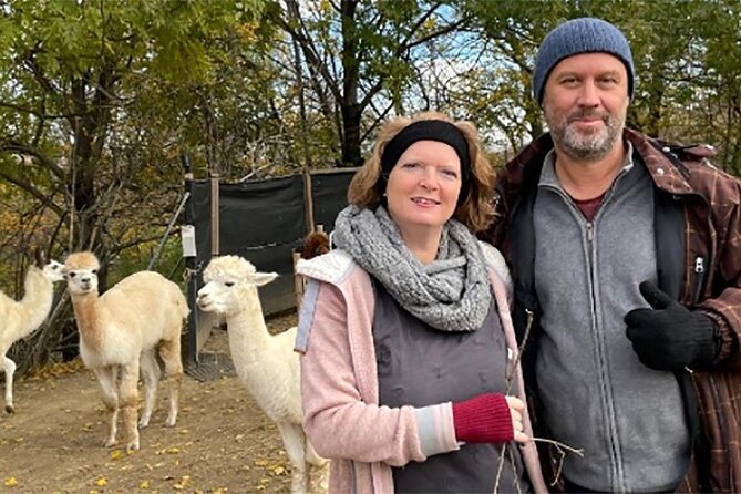 Alpaca and Llama Hike Moedling Near Vienna - Exploring Wool Production Process