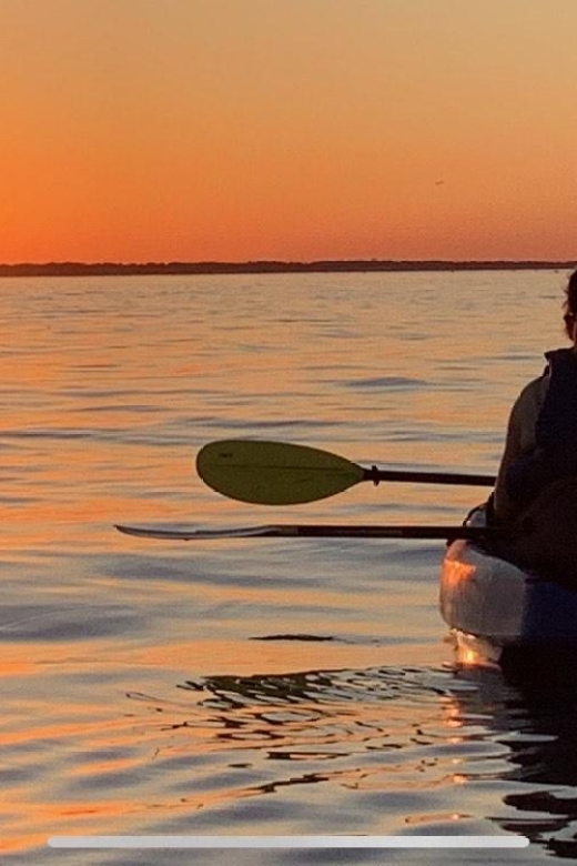 Anna Maria Island and Bradenton: Sunset Kayak Dolphin Tour - Experience Highlights