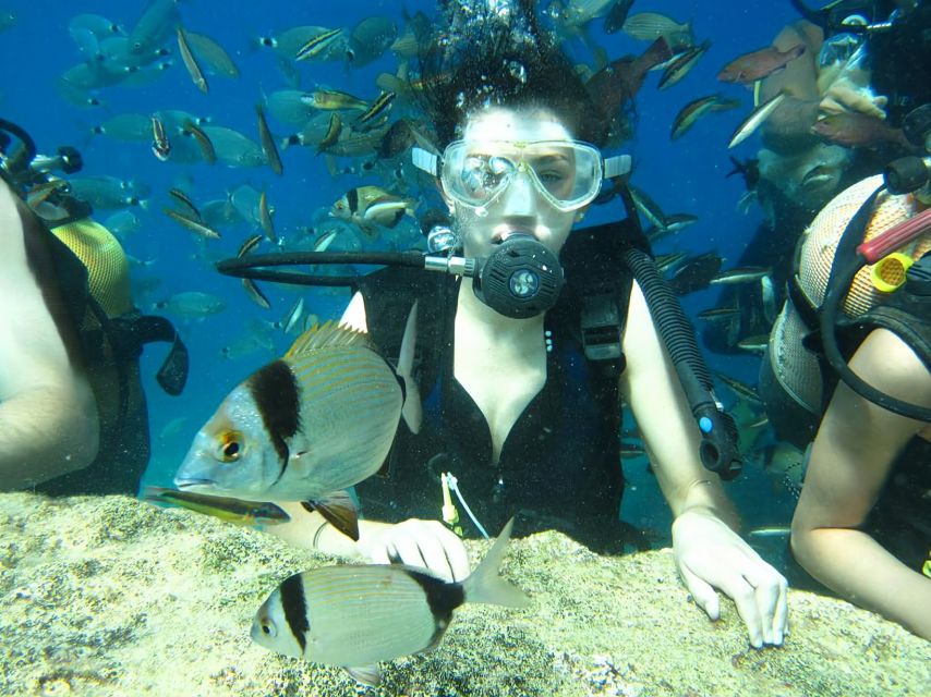 Antalya/Kemer: Scuba Diving Experience With Lunch & Pick up - Diving Activities and Locations