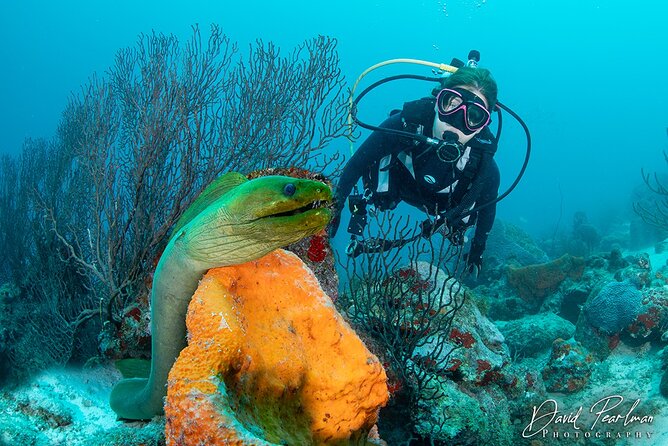 Aruba One or Two Tank Scuba Dive - Meeting Location and Time