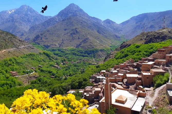 Atlas Mountains and Three Valleys & Waterfalls With Camel Ride Day Trip - Visiting Berber Villages