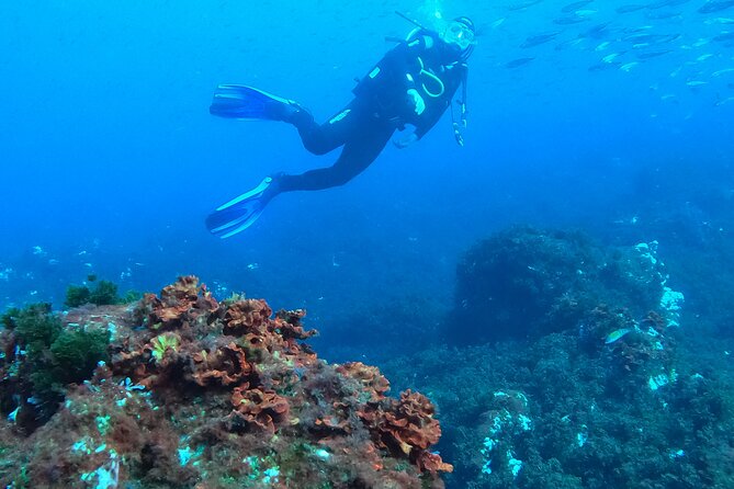 Baptism of Scuba Diving in a Shipwreck on Terceira Island - Meeting Point and Pickup Details