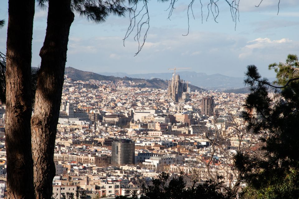 Barcelona: Montjuïc Walking Tour With Optional Flamenco Show - Itinerary Highlights