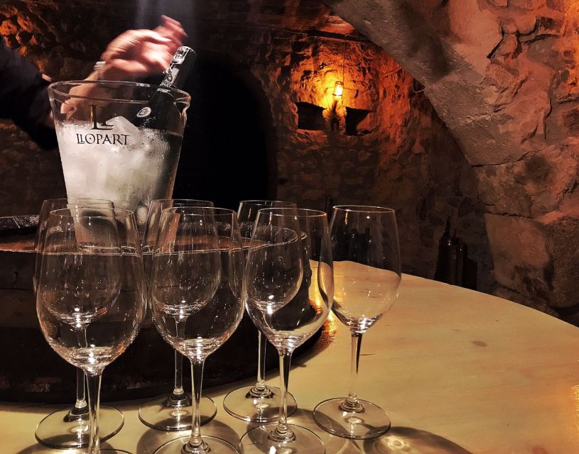 Barcelona: Wine & Sparkling Wine Premium Tour - Itinerary Details