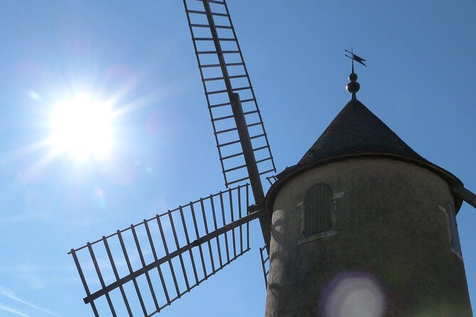 Beaujolais Half Day Wine Tasting Tour - Driver Guides Expertise