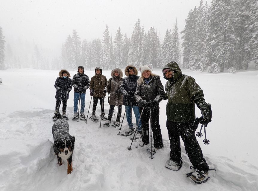 Beginner and Family Snowshoe Tour - Experience Highlights