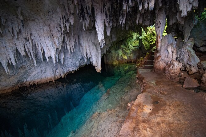 Bermuda Hidden Gems Summer Excursion - Explore Natural Wonders