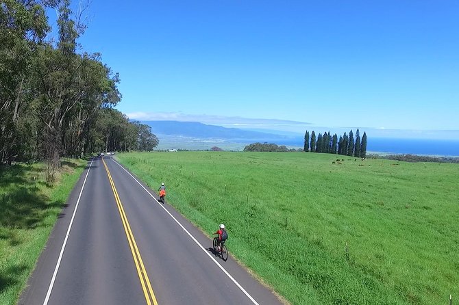 Best Haleakala Downhill Self-Guided Bike Tour With Maui Sunriders - Self-Guided Pace and Customizable Route