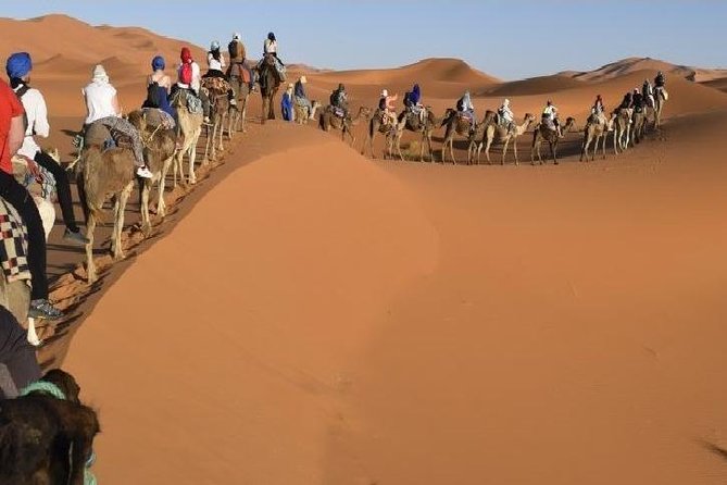 Big Morocco Tour 15 Days From Casablanca - Pickup and Meeting Information