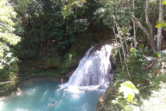 Blue Hole and Dunns River Falls From Falmouth - Lunch Options