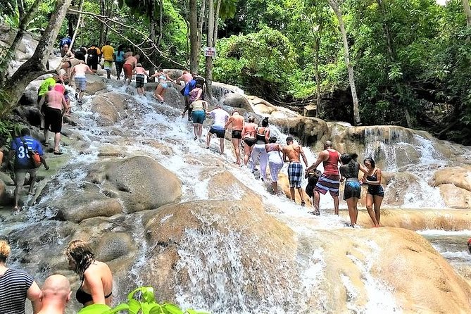 Blue Hole, Secret Falls, and Dunns River Falls Combo Day-Trip - Dunns River Falls