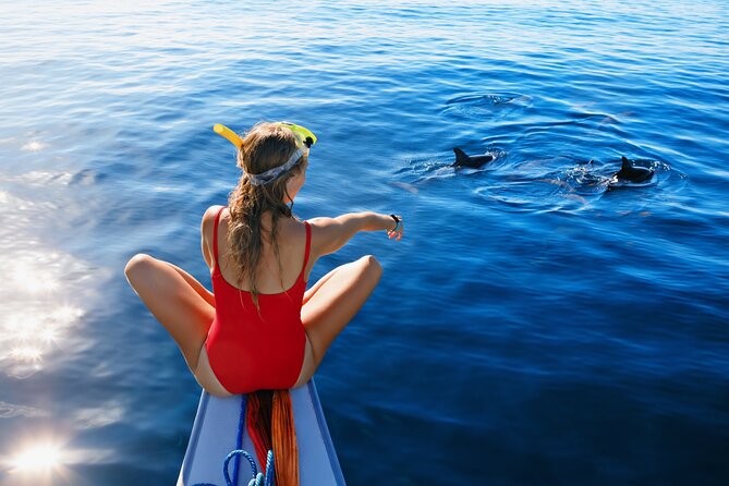 Boat Tour Cinque Terre and Gulf of Poets From La Spezia - Amenities and Inclusions