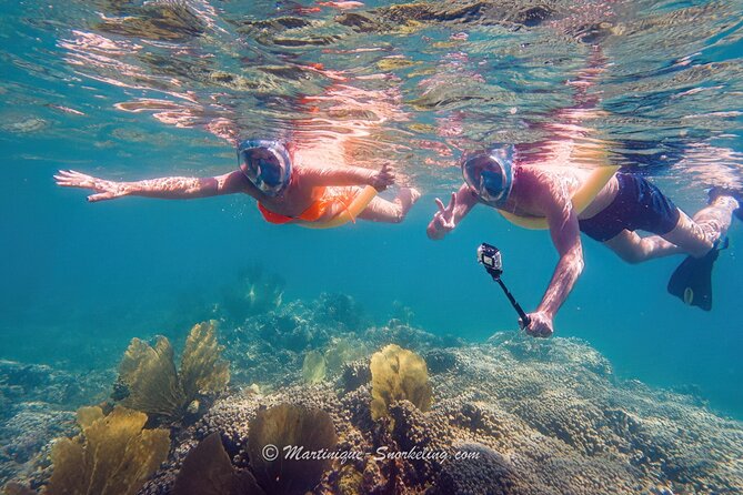 Boat Trip for Snorkeling Discovery of Corals - Confirmation and Accessibility