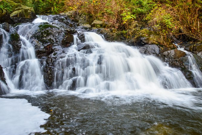 Bowen Island Ferry, Hike & Photography - Inclusions