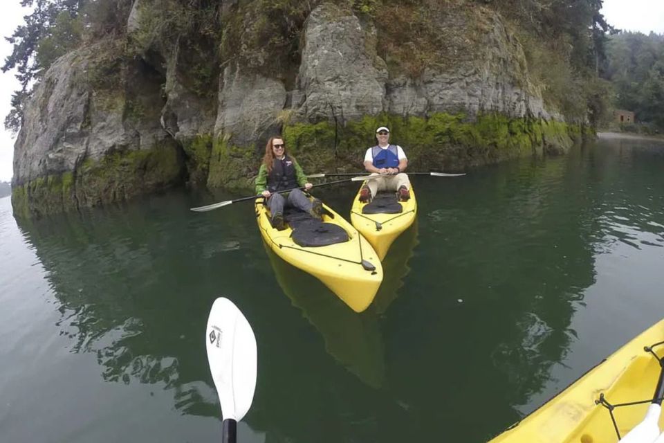 Brookings: Pacific Ocean Kayak Tour - Activities and Highlights