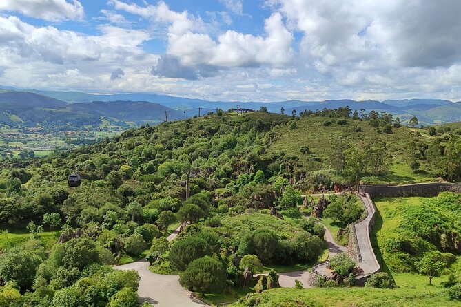 Cabarceno Natural Park Visit - Tour Details