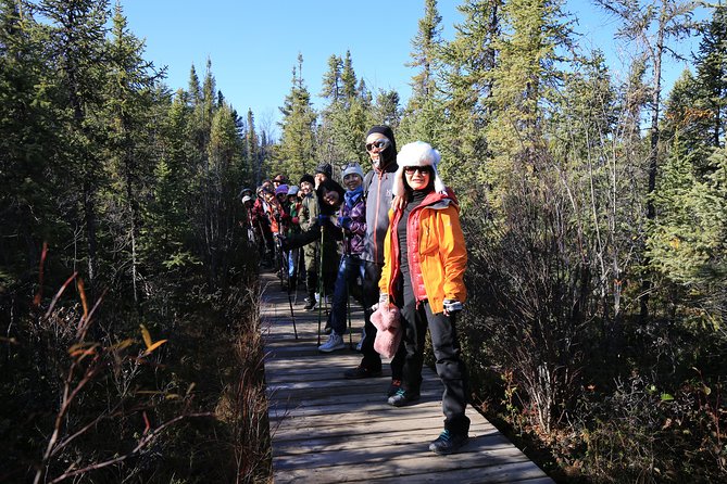 Cameron Falls Hiking Tour - Included Amenities