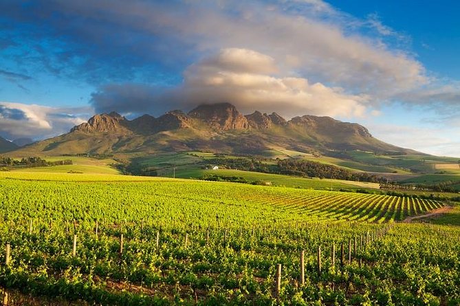 Cape Winelands - Stellenbosch, Franschoek & Paarl, Small Group Tour - Inclusions