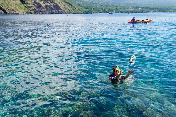 Captain Cook Snorkel On A Double-decker Catamaran With Lunch - Tour Details and Inclusions