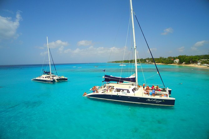 Catamaran and Snorkeling Cruise At Carlisle Bay - Additional Information