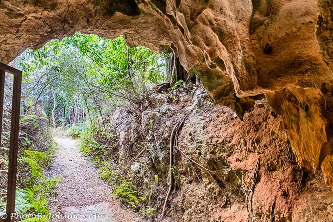 Cayman Crystal Caves Tour in Grand Cayman Island - Discovering Caymans Unique Geology