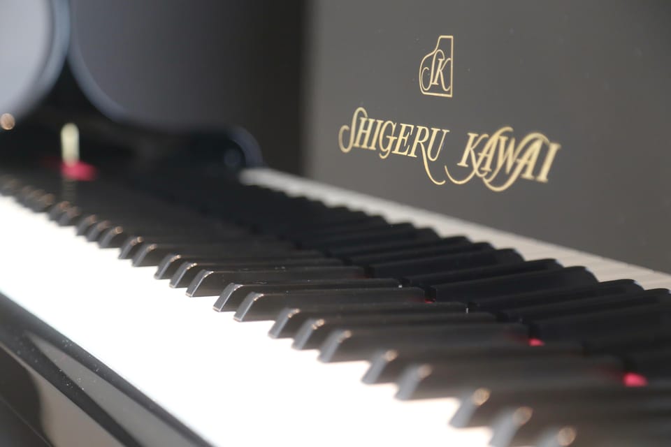 Central Tokyo: Self Check-In Private Grand Piano Room【Sk-3】 - Piano and Facilities