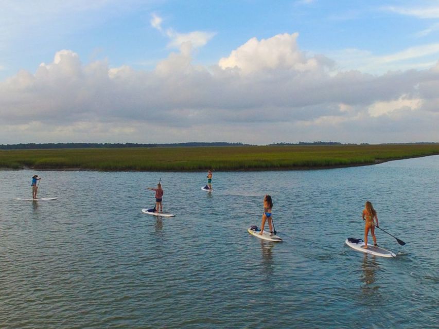 Charleston: Folly Beach Stand Up Paddleboard 2-hour Rental - Price and Cancellation