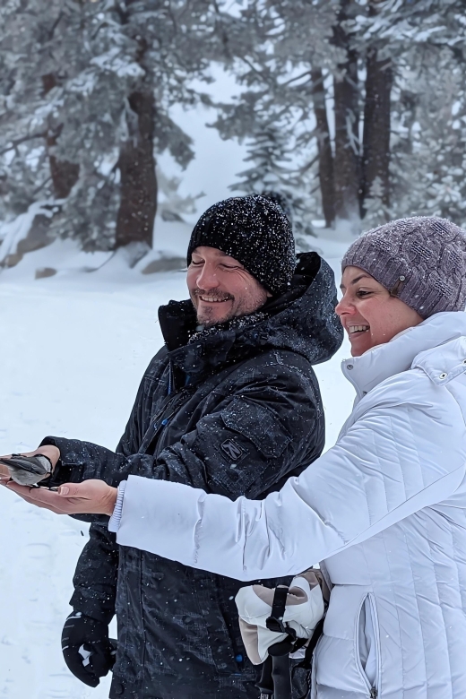 Chickadee Ridge Beginner Snowshoeing Hike - Experience Highlights