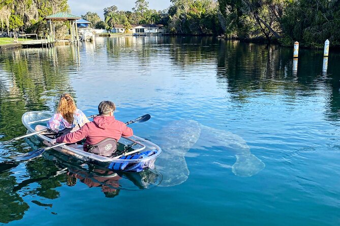 Clear Kayak Tour of Crystal River - Location and Meeting Point