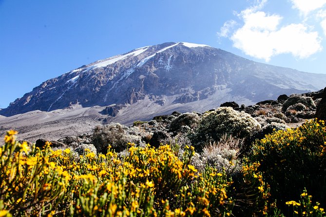 Climb Kilimanjaro - Marangu Route 8 Day Program - Inclusions