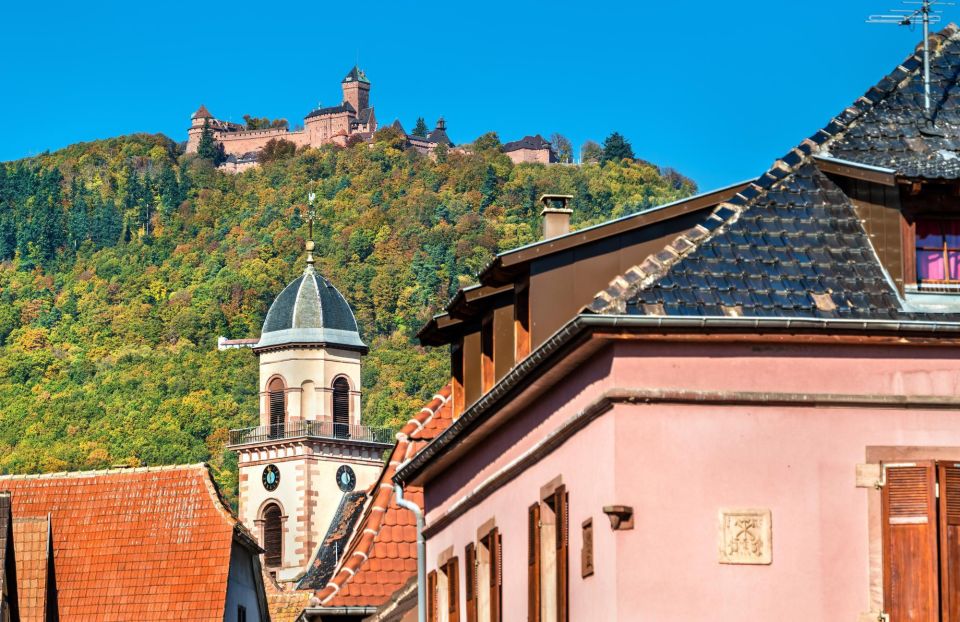 Colmar: Private Architecture Tour With a Local Expert - St Martins Church Exploration