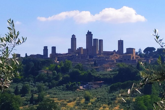 Cooking Class in a Real Tuscan Farmhouse - Picturesque Agriturismo Farmhouse Setting