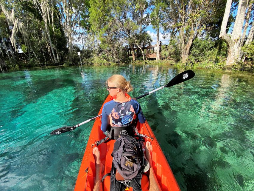 Crystal River: Three Sisters Springs Guided Kayak Tour - Highlights of the Experience