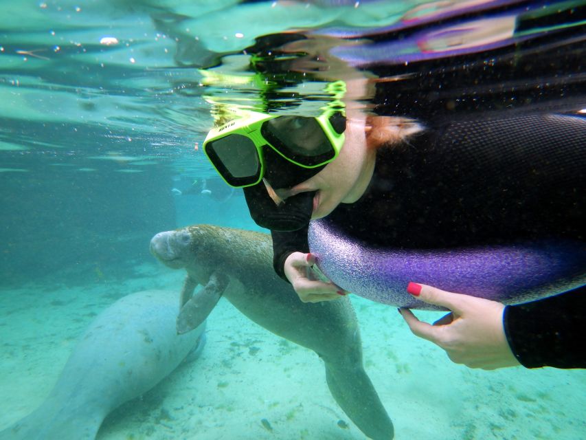 Crystal River: VIP Manatee Swim W/ In-Water Photographer - Location and Duration