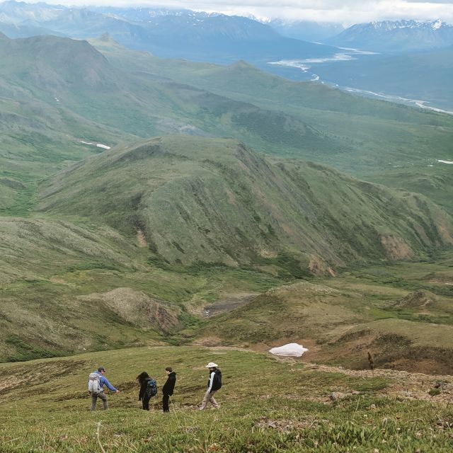 Denali: 5-Hour Guided Wilderness Hiking Tour - Booking Information